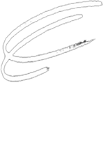 logo Edwiges Cavalieri